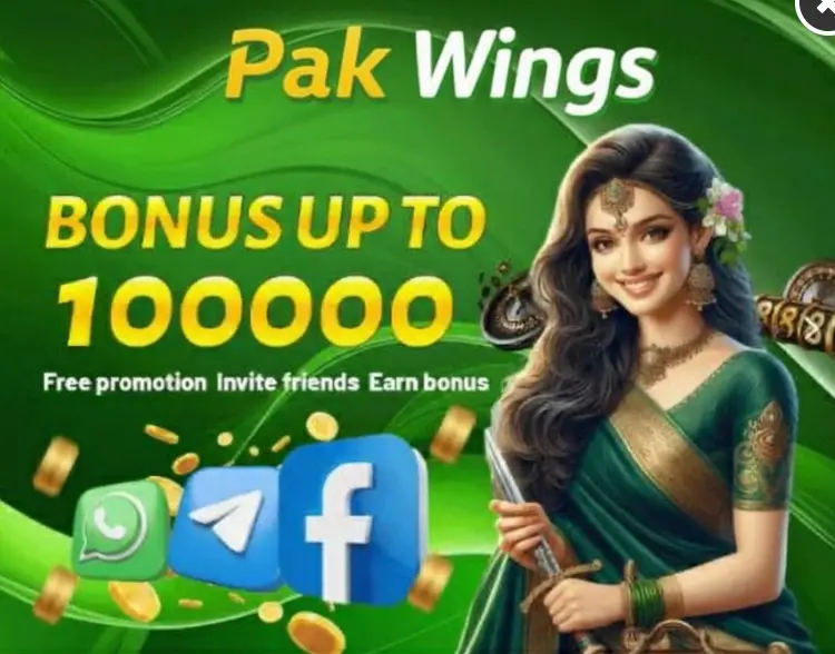 pakwings game
